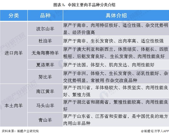 圖表1：中國主要肉羊品種分類介紹