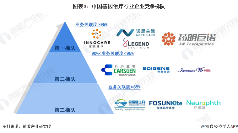 圖表3：中國基因治療行業企業競爭梯隊