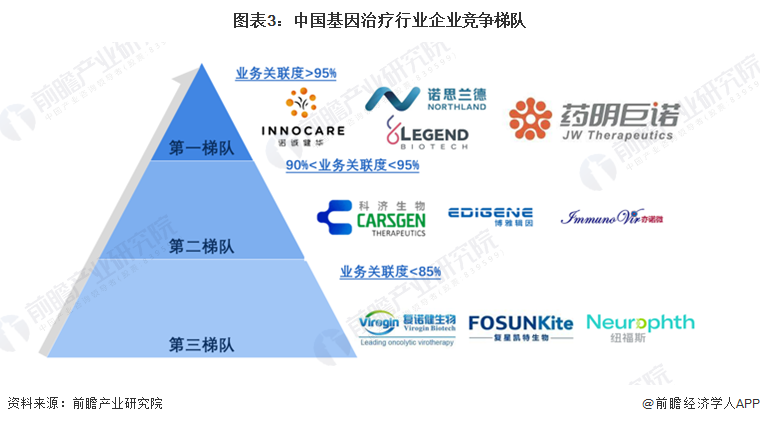 圖表3：中國基因治療行業企業競爭梯隊