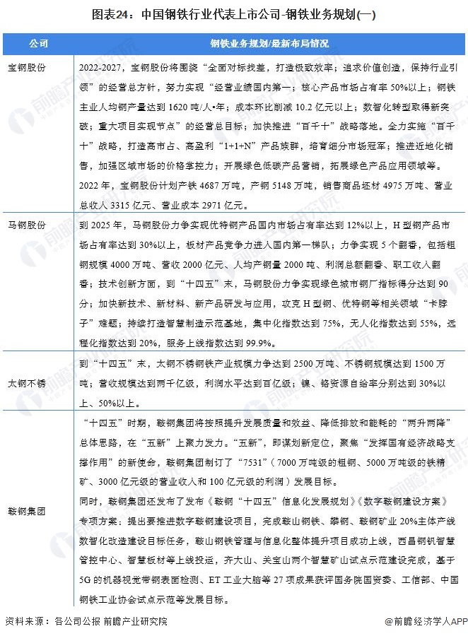圖表24：中國鋼鐵行業代表上市公司-鋼鐵業務規劃(一)