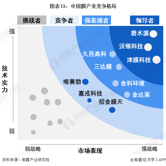 图表13：中国膜产业竞争格局