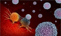 预防癌症新方法！麻省理工工程师研制出新款荧光传感器，可检测治疗癌症