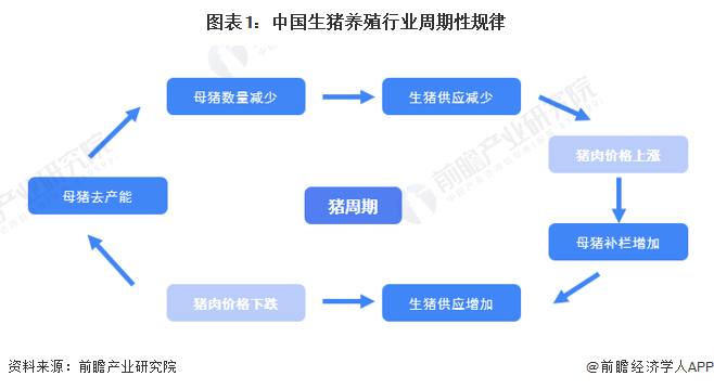 图表1：中国生猪养殖行业周期性规律