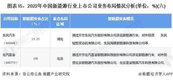 图表15：2022年中国新能源行业上市公司业务布局情况分析(单位：%)(六)