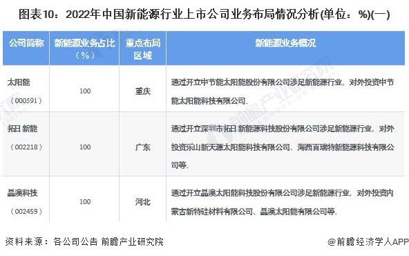 图表10：2022年中国新能源行业上市公司业务布局情况分析(单位：%)(一)
