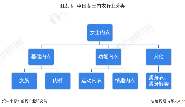 图表1：中国女士内衣行业分类