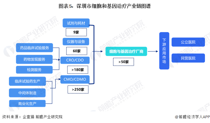 图表5：深圳市细胞和基因治疗产业链图谱
