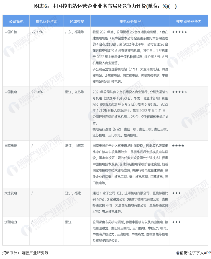 图表6：中国核电站运营企业业务布局及竞争力评价(单位：%)(一)