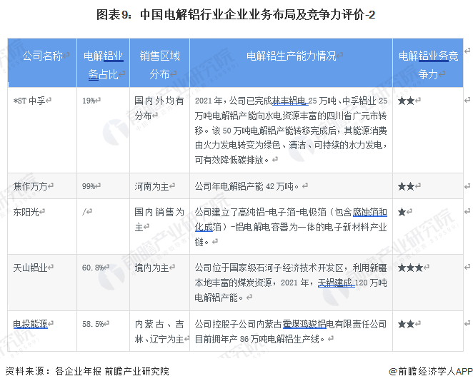 图表9：中国电解铝行业企业业务布局及竞争力评价-2