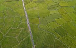 安徽省粮食和物资储备局关于推进粮食产业园区建设发展的指导意见