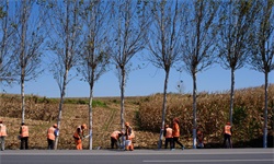 干货！2023年中国公路养护行业产业链现状及市场竞争格局分析 中东部地区企业分布较为集中