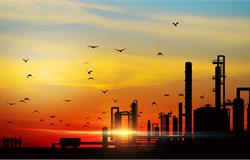 陇南市西和：聚焦工业发展提级转型 全力加快园区标准化建设