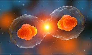Science：表观遗传学和数学结合，预测癌细胞行为