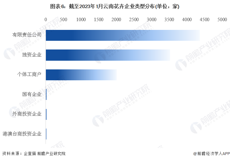 图表6：截至2023年1月云南花卉企业类型分布(单位：家)