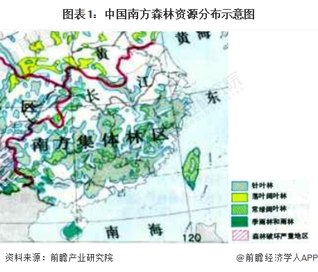 图表1：中国南方森林资源分布示意图
