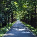 义乌市林业局谋划林业产业发展规划