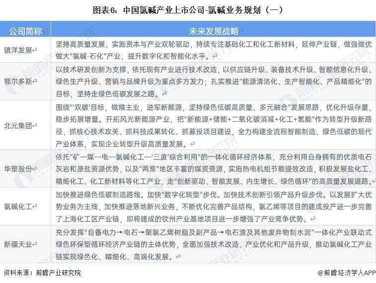 图表6：中国氯碱产业上市公司-氯碱业务规划（一）
