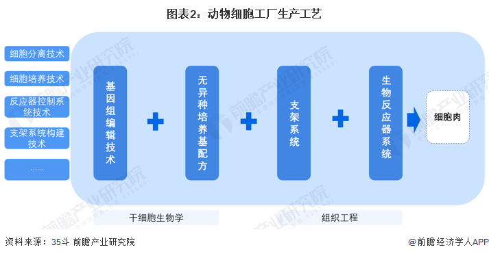 图表2：动物细胞工厂生产工艺