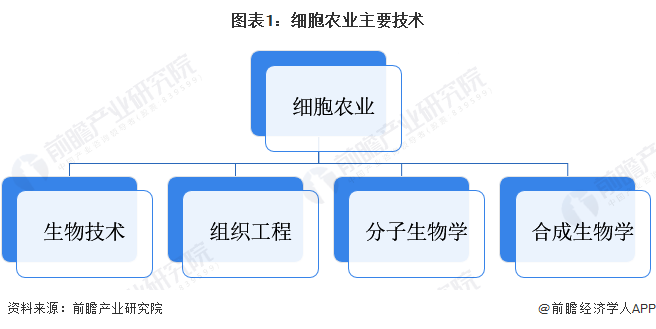 图表1：细胞农业主要技术