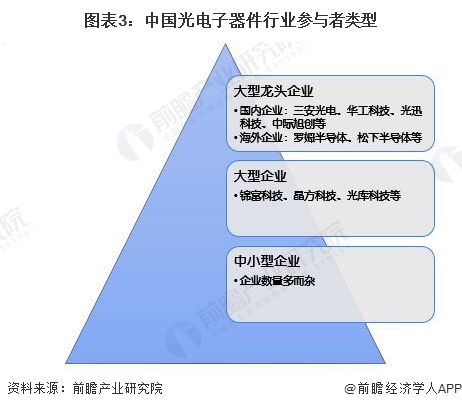 图表3：中国光电子器件行业参与者类型