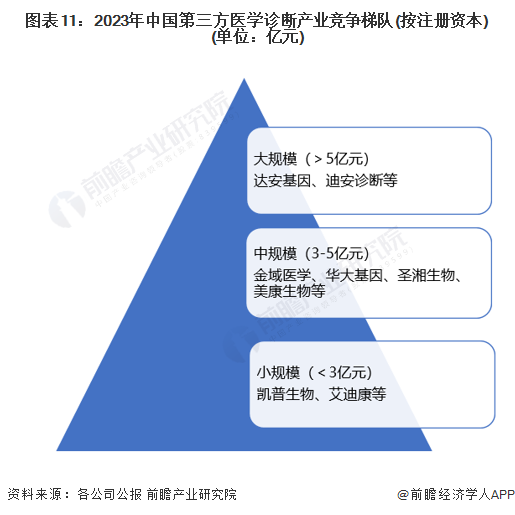 图表11：2023年中国第三方医学诊断产业竞争梯队(按注册资本)(单位：亿元)
