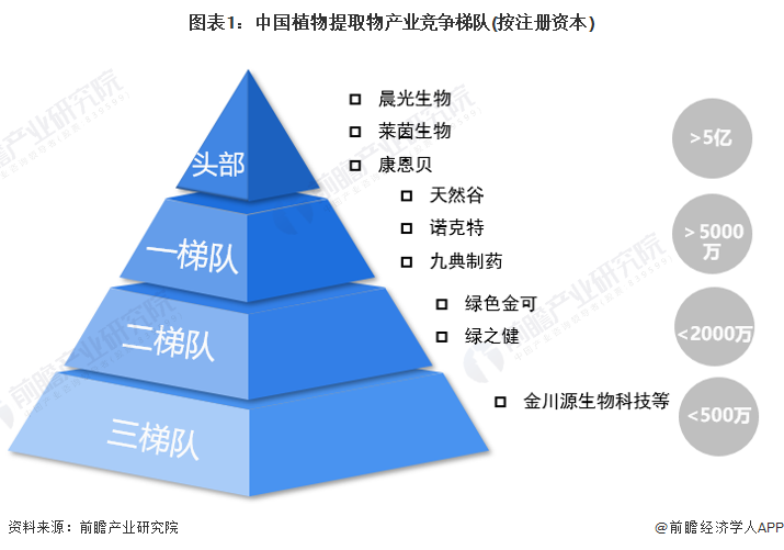 圖表1：中國(guó)植物提取物產(chǎn)業(yè)競(jìng)爭(zhēng)梯隊(duì)(按注冊(cè)資本)