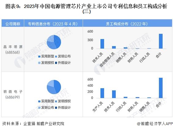 图表9：2023年中国电源管理芯片产业上市公司专利信息和员工构成分析(三)