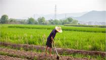 湖北省县域农民工市民化质量提升行动实施方案