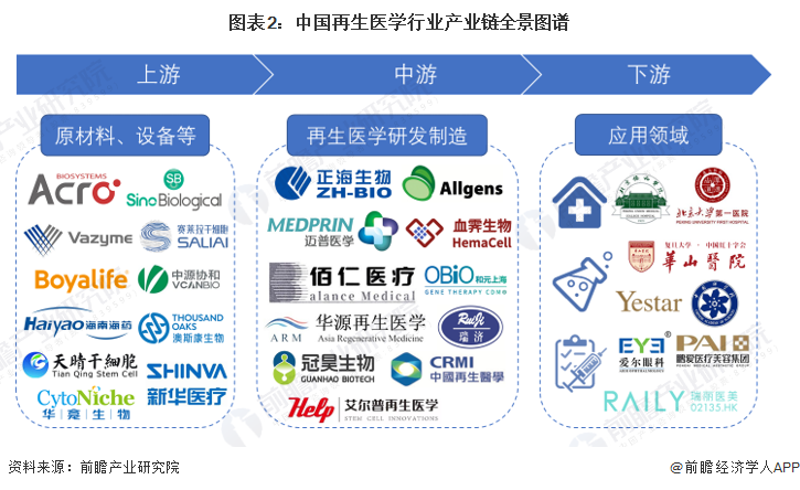 图表2：中国再生医学行业产业链全景图谱