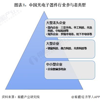 图表1：中国光电子器件行业参与者类型
