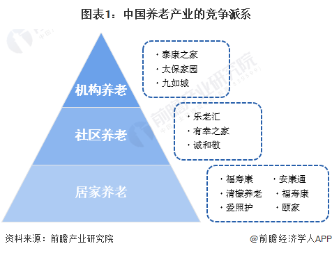 图表1：中国养老产业的竞争派系