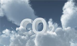 中国信通院已正式上线碳数据服务网络（CRC）【附中国碳排放现状】