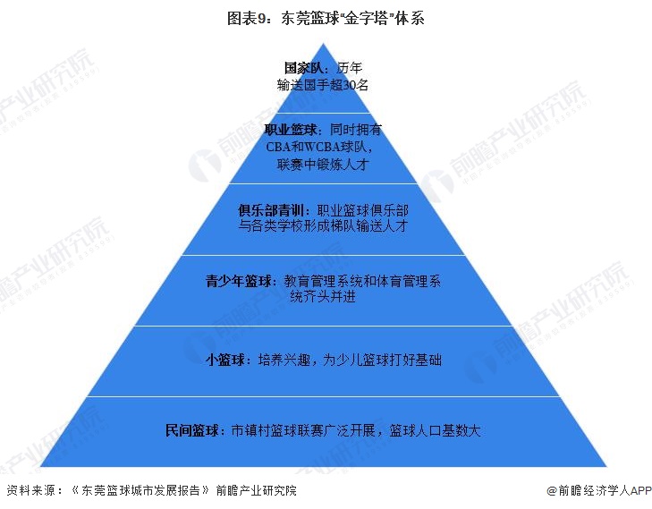 图表9：东莞篮球“金字塔”体系