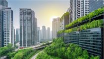 重庆市科学绿化试点示范市建设实施方案