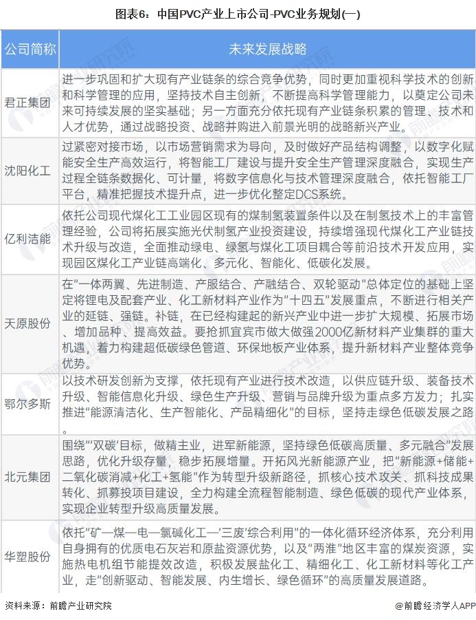图表6：中国PVC产业上市公司-PVC业务规划(一)