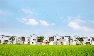 我的家乡我建设！九部门联合发文鼓励退休公职人员回乡定居【附乡村产业振兴分析】