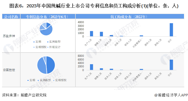 图表6：2023年中国纯碱行业上市公司专利信息和员工构成分析(1)(单位：条，人)