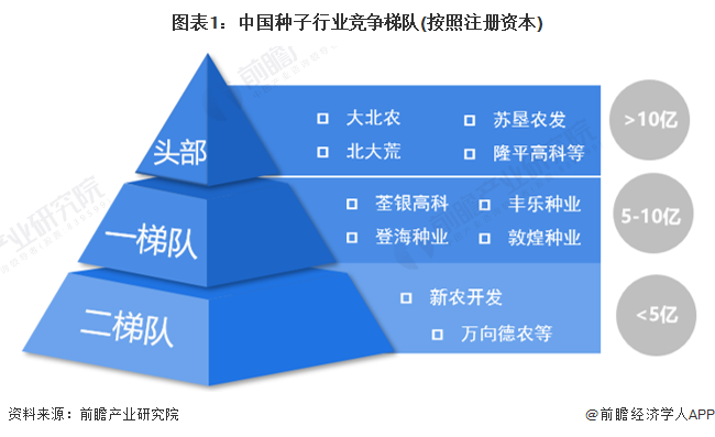 图表1：中国种子行业竞争梯队(按照注册资本)
