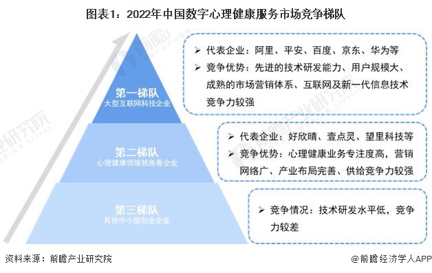 图表1：2022年中国数字心理健康服务市场竞争梯队