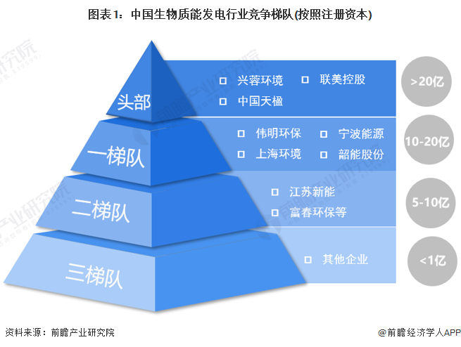 图表1：中国生物质能发电行业竞争梯队(按照注册资本)