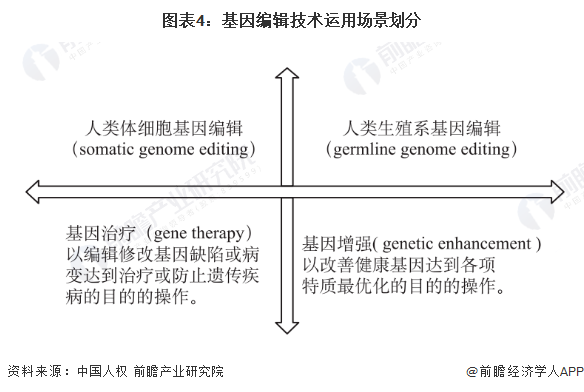 图表4：基因编辑技术运用场景划分