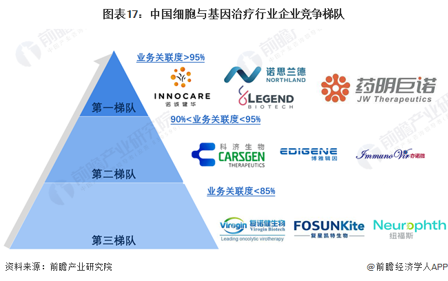 图表17：中国细胞与基因治疗行业企业竞争梯队