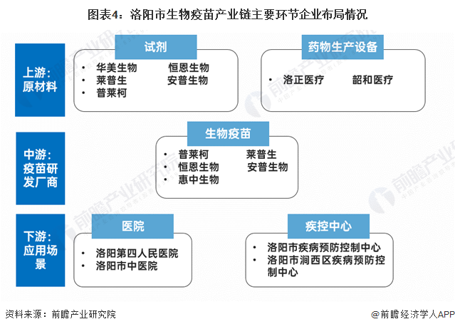 图表4：洛阳市生物疫苗产业链主要环节企业布局情况