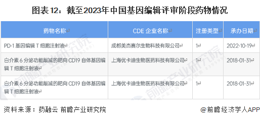 图表12：截至2023年中国基因编辑评审阶段药物情况