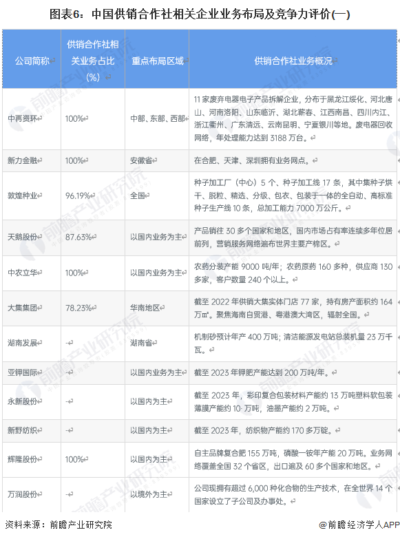图表6：中国供销合作社相关企业业务布局及竞争力评价(一)