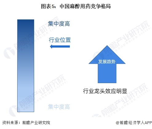 图表5：中国麻醉用药竞争格局