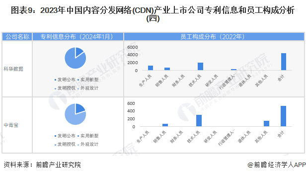 图表9：2023年中国内容分发网络(CDN)产业上市公司专利信息和员工构成分析(四)
