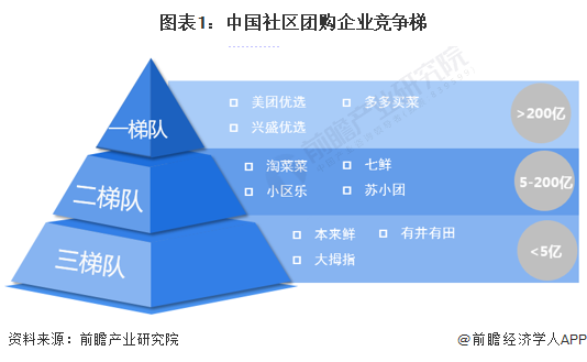 图表1：中国社区团购企业竞争梯