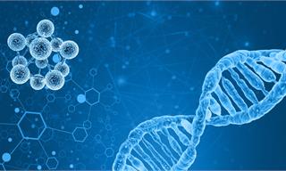最新研究：基因编辑技术可修复有缺陷的免疫细胞【附基因编辑技术赛道观察图谱】