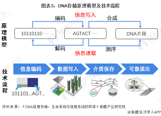 图表3：DNA存储原理模型及技术流程